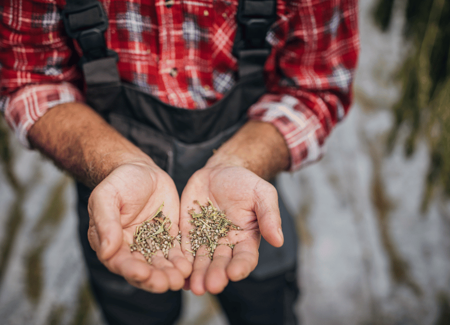 Cannabis Banking